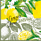 Салфетки бумажные Gratias Лимонный сад, 3 сл